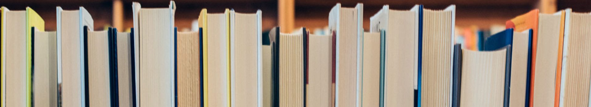 prestamos-biblioteca